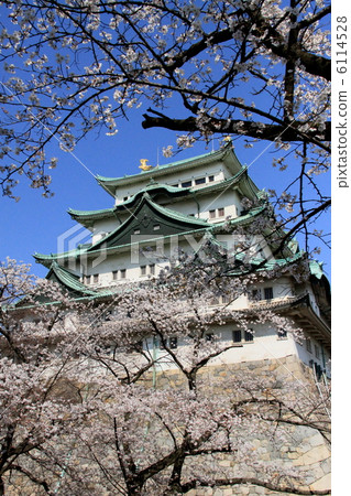 名古屋城堡·Omamori和櫻花 名古屋城堡·Omamori和櫻花 6114528
