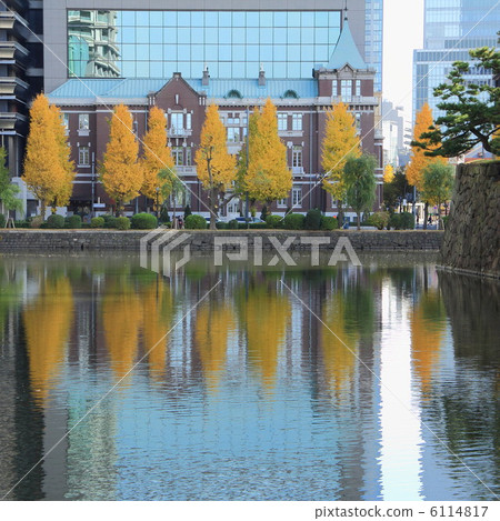 皇宮花園（和田倉木護城河） 6114817