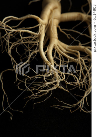 Ginseng Ginseng 6114903