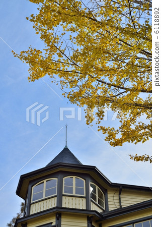 橫濱山手意大利山花園外交官房子銀杏 橫濱山手意大利山花園外交官房子銀杏 6118892