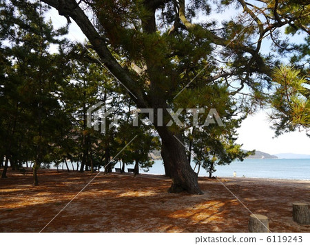 Matsubara Fukui 6119243