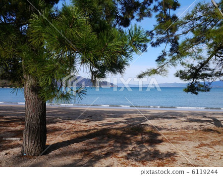 Matsubara Fukui Matsubara Fukui 6119244