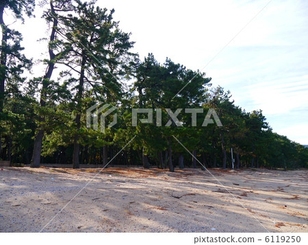 松原福井 6119250