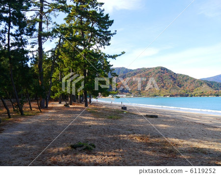 松原福井 6119252