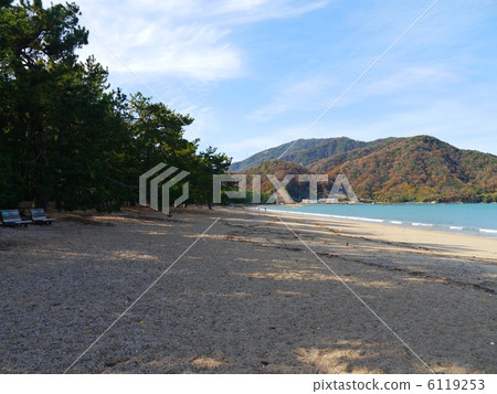 松原福井 6119253