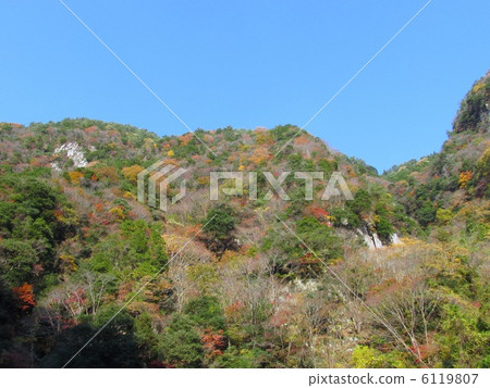 The autumnal leaves of Ka Furuki (Oni-rock) "Murore Redeme Aoyama Quasi-national Park" 6119807