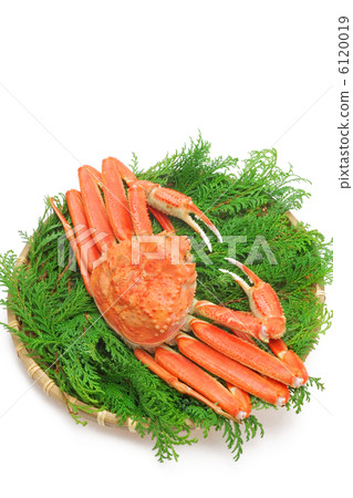 Matsuba crabs burned flat Matsuba crabs burned flat 6120019