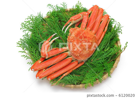 A bamboo grass pine needle A bamboo grass pine needle 6120020