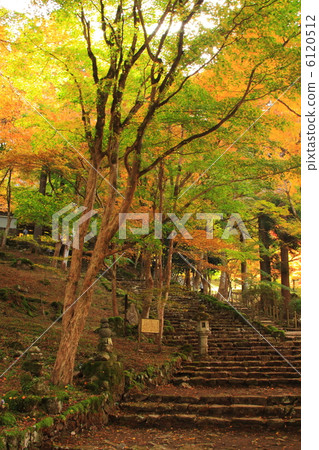 京都Tamba Sasayama Takasenji在秋天 京都Tamba Sasayama Takasenji在秋天 6120512