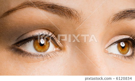 beauty eye beauty eye 6120834