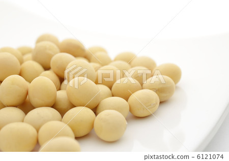 Soy bean white dish Soy bean white dish 6121074