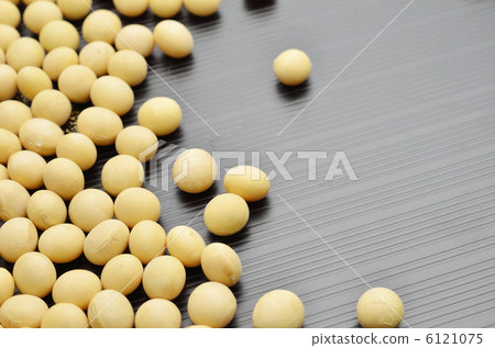 Soybean black back Soybean black back 6121075