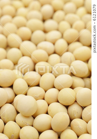 A lot of soybeans A lot of soybeans 6121079