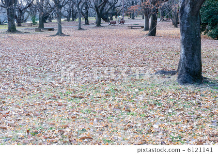 Late autumn Late autumn 6121141