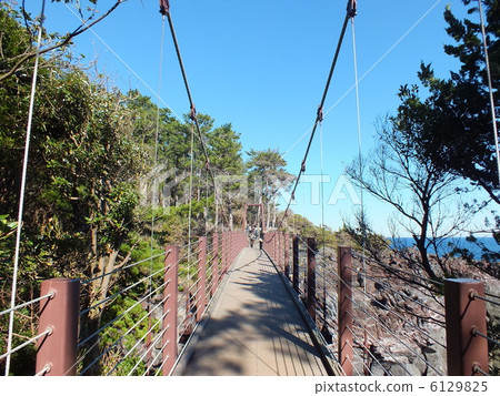 Ito city Izukogen kogen Jogakisaki coast Kadowaki suspension bridge 6129825
