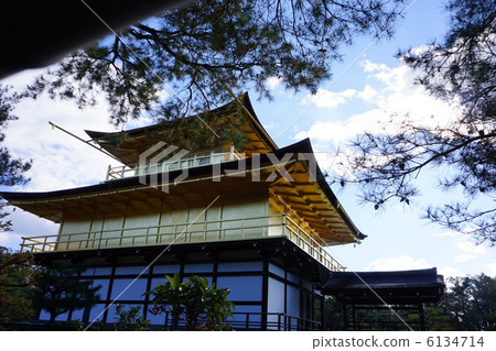 金閣寺 金閣寺 6134714