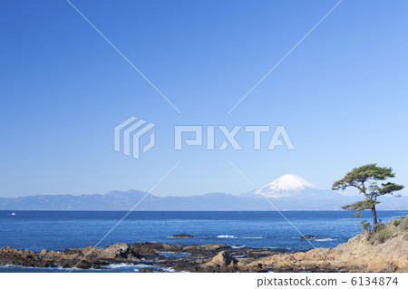 Matsu and Mt. Fuji in Tateishi Park 6134874