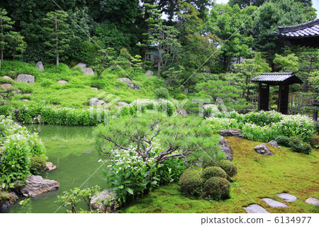 兩條腿 兩條腿 6134977