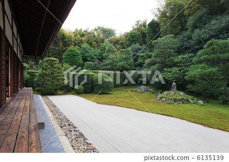 芬陀研究所 6135139