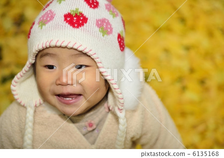 Ginkgo 6135168