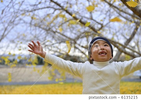 Ginkgo Ginkgo 6135215