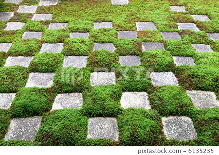 Tofukuji Temple Hachiko的花園北花園 6135235