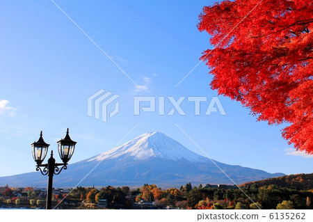 Mt. Fuji with clear weather, autumn leaves and street lights Mt. Fuji with clear weather, autumn leaves and street lights 6135262