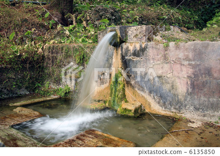 Japan Famous Water 100th Election Flower Higawa Japan Famous Water 100th Election Flower Higawa 6135850