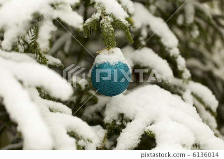 積雪的聖誕樹裝飾在森林裡 6136014