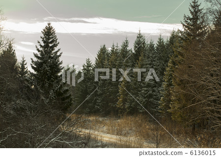 First snow and forest road 6136015