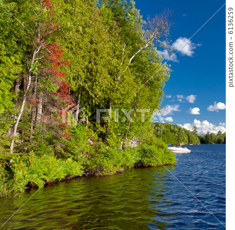 Beautiful lake of Toronto 6136259