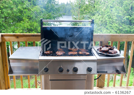 Grill 6136267