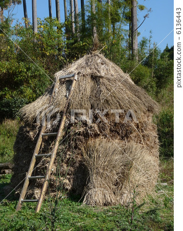 懷舊之情 6136443