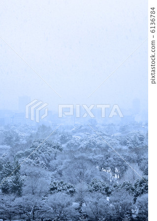 Snowy landscape in Tokyo 6136784