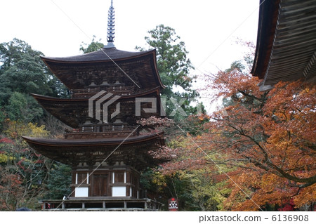 Seishi-ji Triple Tower Shiga Lake East Miyama 6136908