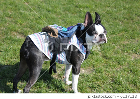 令人眼花繚亂!! 令人眼花繚亂!! 6137128