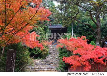 京都Jingoji的秋天 京都Jingoji的秋天 6137427