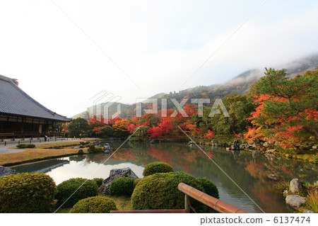 Fall of Arashiyama Tenryu-ji Temple 6137474