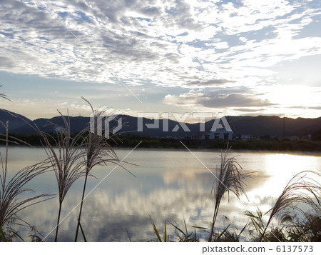 鈴木的早晨，鈴木在秋風中輕輕摩擦 6137573