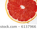 grapefruit  6137966