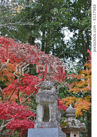 Katori Shrine Katori Shrine 6137988