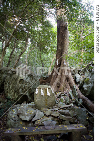 多摩富美神社豐田姬陵（Morin） 6138872