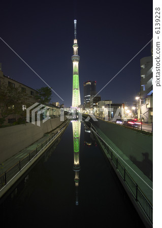 香檳天空樹(顛倒的天空樹) 香檳天空樹(顛倒的天空樹) 6139228