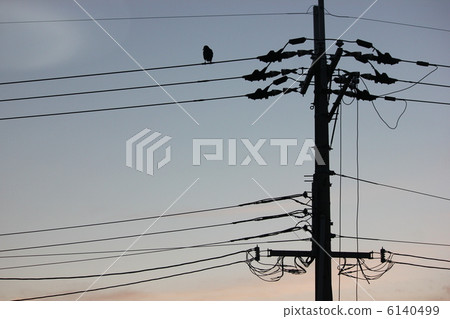 A crow that fits in the electric wire 6140499