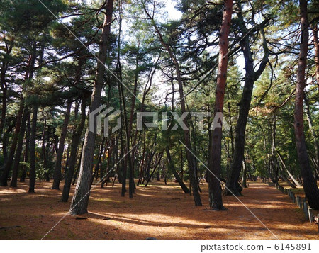 Matsubara Fukui 6145891