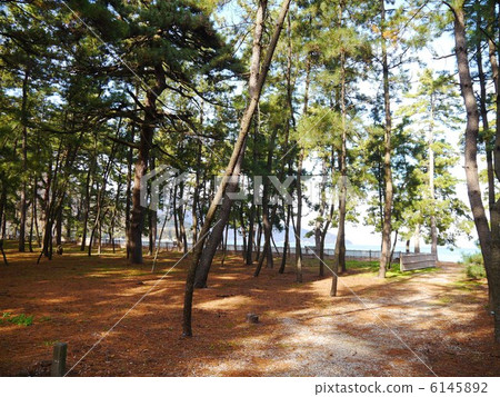 Matsubara Fukui 6145892