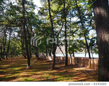 Matsubara Fukui 6145893