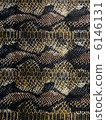 Snake print 6146131