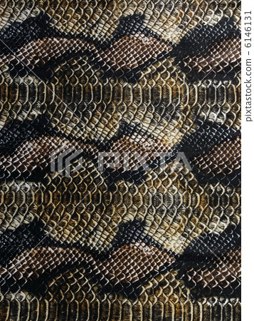 Snake print 6146131