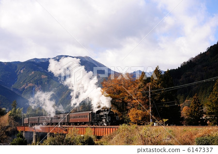 Autumn leaves and SL 6147337